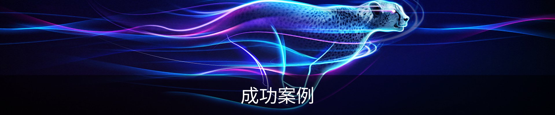 成功案例